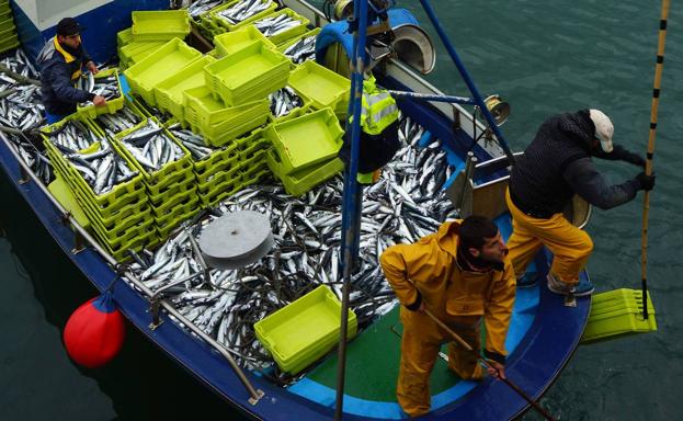 Los pescadores cántabros muestran malestar por la reducción de la cuota de verdel