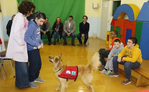 El colegio 'Pintor Martín Sáez' aplica una novedosa intervención educativa con perros