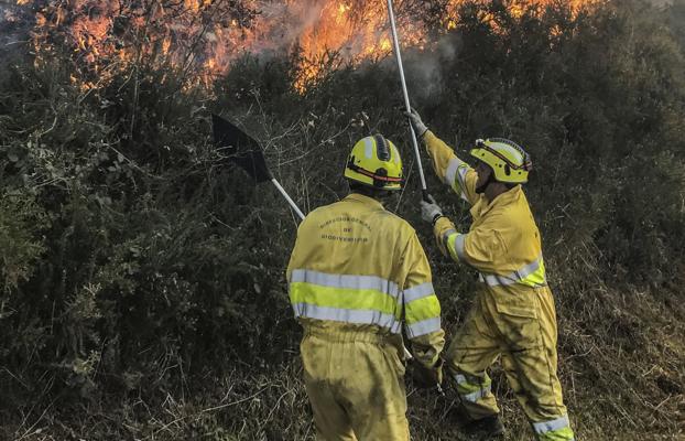 El viento sur y la ausencia de lluvias han desencadenado 74 incendios este mes