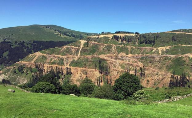 ARCA denuncia el riesgo de tapones en el río Magdalena por el vertido de tocones de las talas