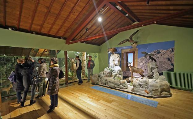 El Museo de la Naturaleza convoca cuatro talleres sobra fauna y flora