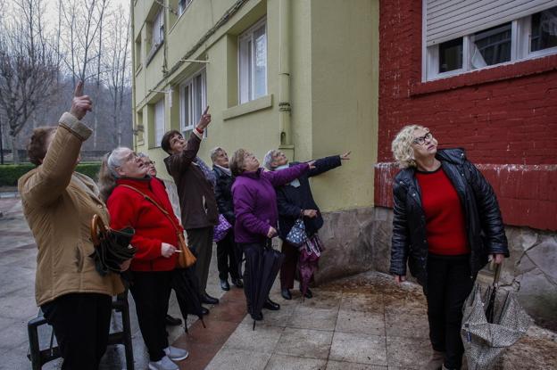 La 'plaga' de palomas castiga al Barrio Covadonga