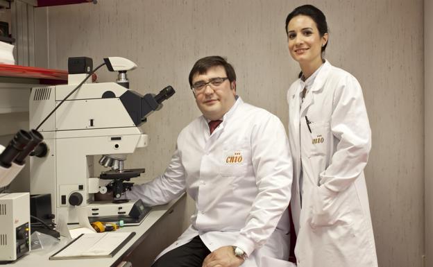 Investigadores del CNIO confirman el nexo entre el cáncer de próstata y el cáncer de mama