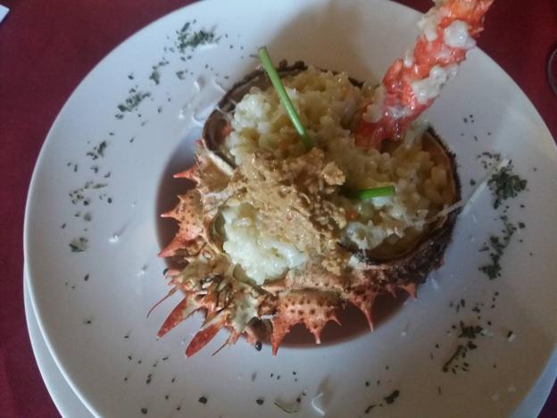 Centollo de bienvenida