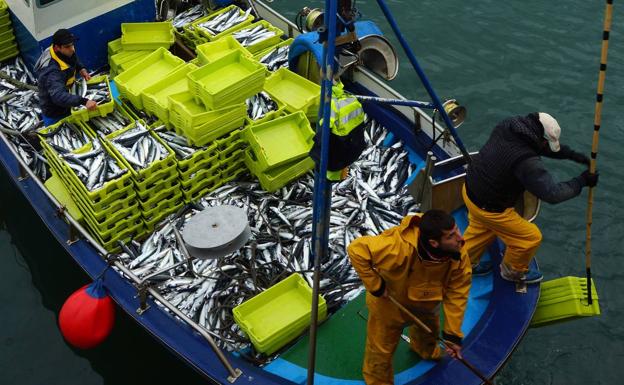 Ayudas de hasta 75.000 euros para comprar un barco, para pescadores menores de 40 años