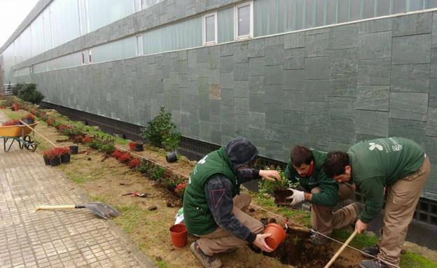 Noja contratará a 30 parados con dos nuevos proyectos de empleo y formación