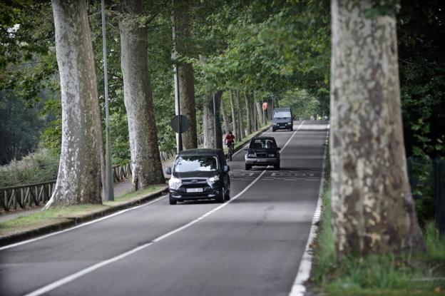 Las quejas de los vecinos paralizan la tala de plataneros en Comillas