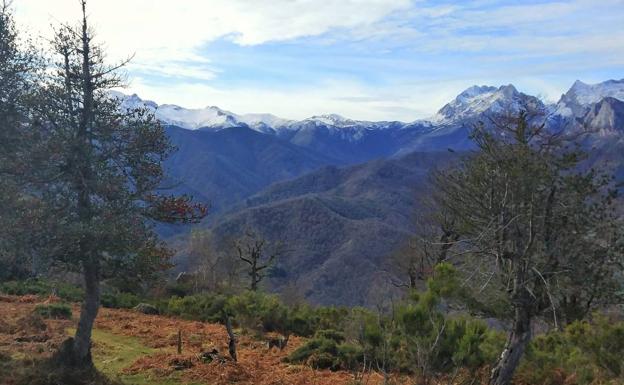 De ruta por el Valle de Cereceda y el Pico Jano, frente a los Picos