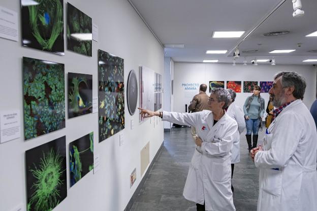 El Idival impulsa la cultura de la donación para sus proyectos, «tan necesaria como escasa»