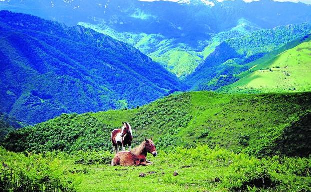 Un ruta por Asturias entre alta montaña, bosques y agua