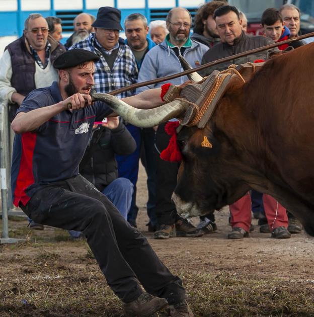 Asier Hernández: «Este deporte lo he mamado desde crío»