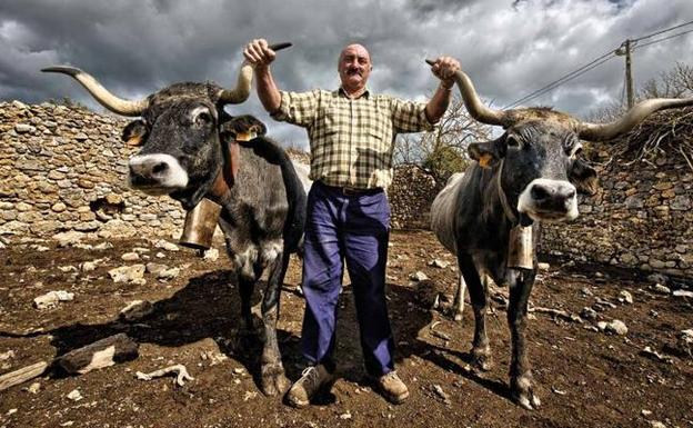 El alma de Campoo se luce en Madrid