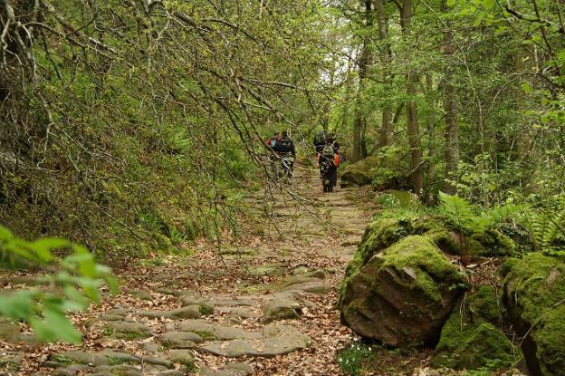 Desfibriladores en el bosque