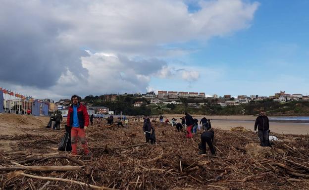 Cientos de personas arriman el hombro para limpiar las playas tras la riada en el Besaya