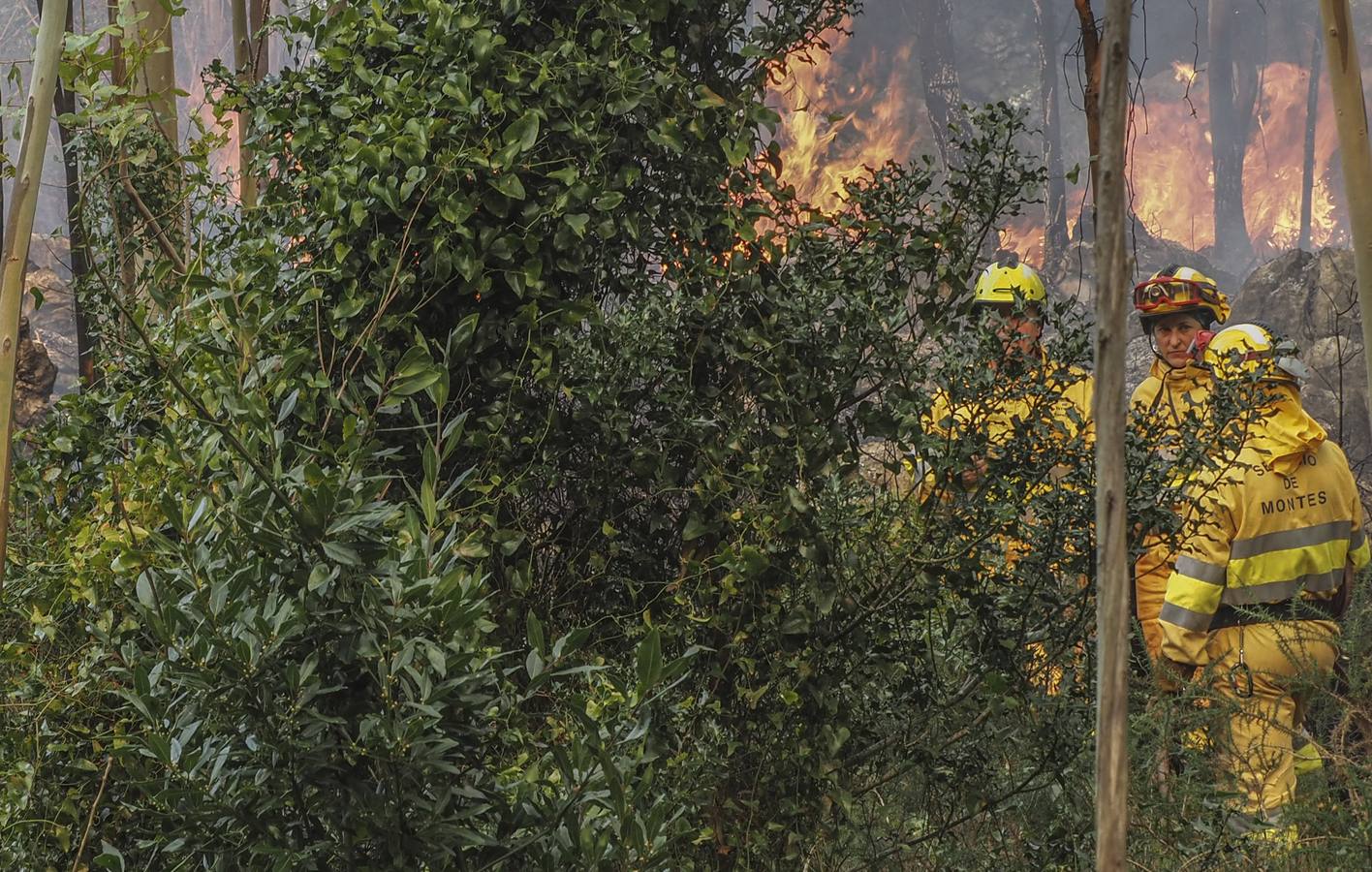 Las cuadrillas trabajan en el incendio de Riotuerto