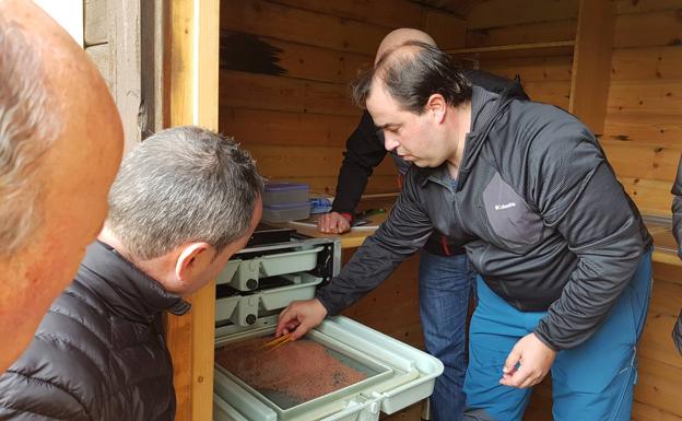 Pesués estrena una estación para la incubación de truchas y salmones