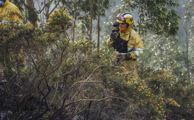 Sólo uno de cada 315 incendios acaba en sentencia