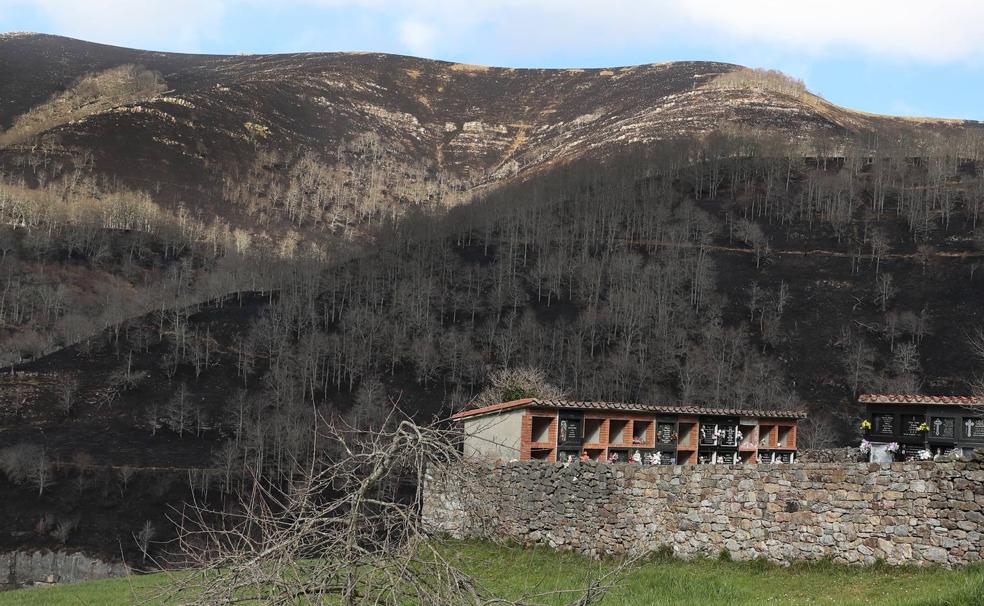 «Aquí ni ha habido incendio ni te voy a decir quién lo provocó»