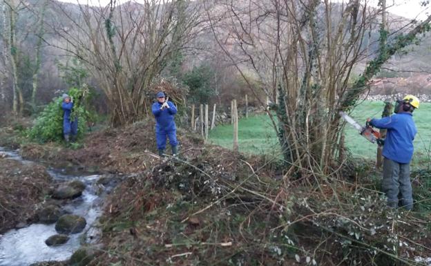 Arranca la limpieza de los restos de las inundaciones en arroyos de Entrambasaguas y Cabuérniga