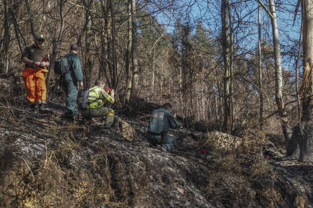 Los investigadores buscan pruebas sobre los autores en una veintena de los 200 incendios