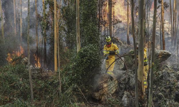 El Plan contra el Fuego convence sobre el papel, pero no reduce los incendios