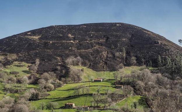 El riesgo de incendios se incrementa y alcanzará mañana el nivel «extremo»