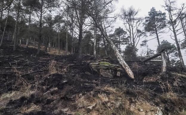 Permanece activo un incendio forestal de los 10 provocados hoy en Cantabria