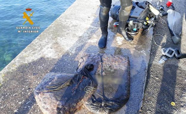 Sorprendido un mariscador en el dique de Gamazo con 35 kilos de anémonas