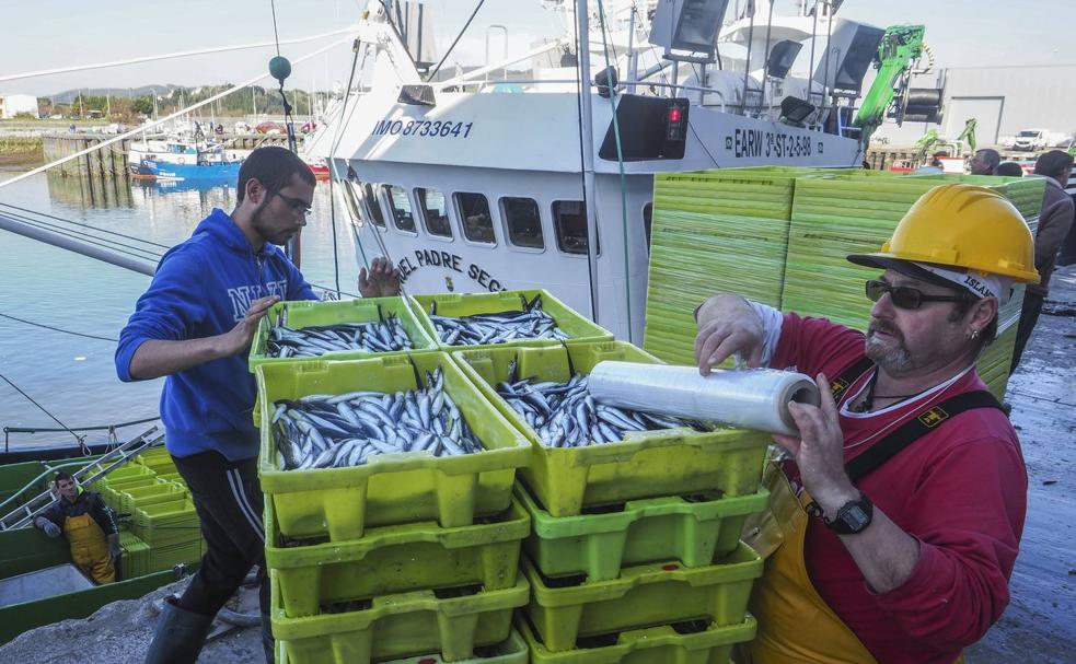 El bocarte se adelanta al verdel