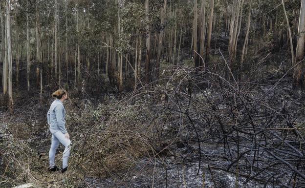 Este miércoles pueden regresar las lluvias, tras tres días de incendios