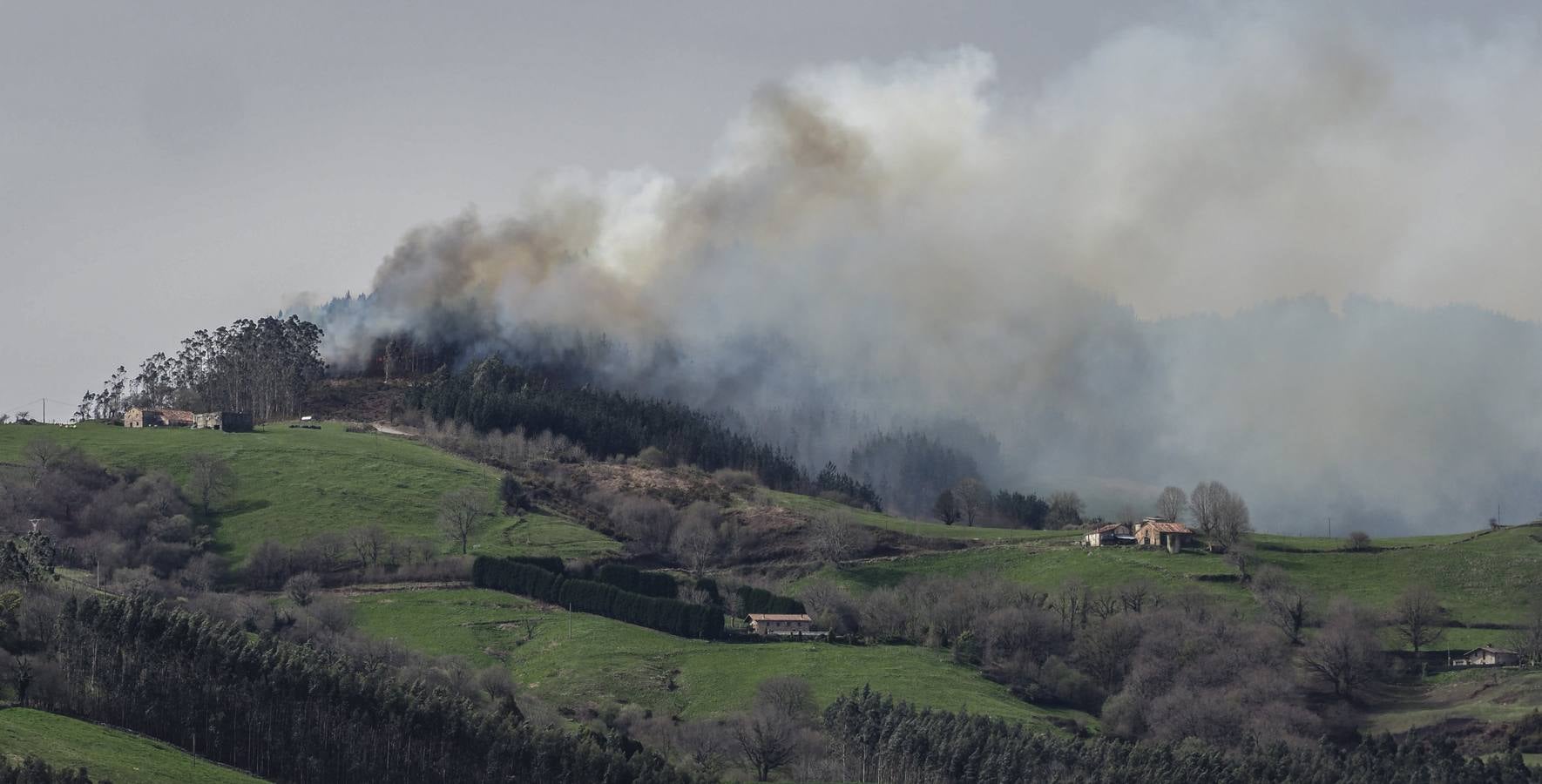 Revilla anuncia que dentro de unos días se sabrá que hay más investigados por incendios