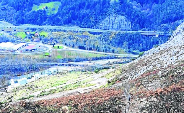 San Felices devuelve los árboles al Dobra