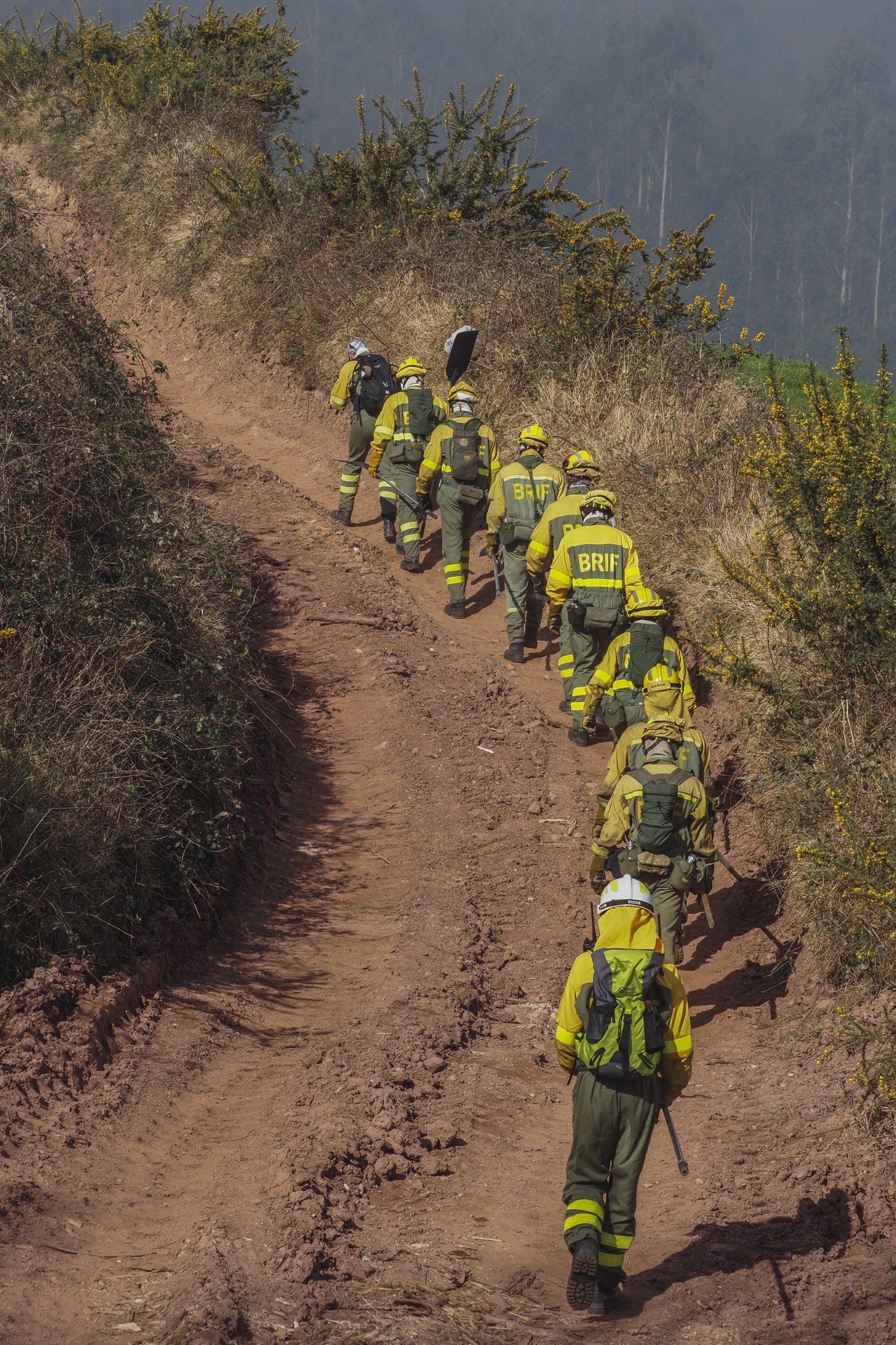 El coste de un incendio forestal en Cantabria