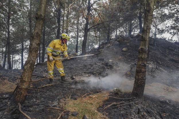 Un bosque maduro tarda 150 años en regenerarse tras un incendio