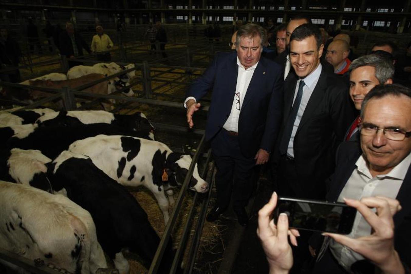 Pedro Sánchez visita Cantabria