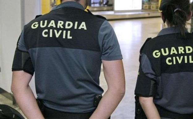 Detenida una mujer en Barajas con cinco animales muertos en su maleta