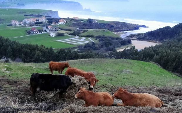 Los hosteleros se suman a las administraciones para promover el Camino de Santiago