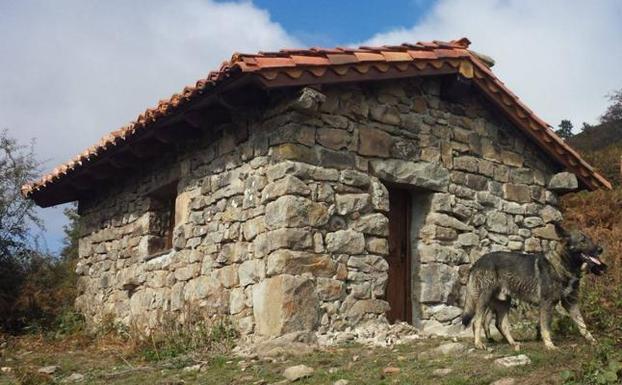 Campoo de Yuso rehabilita la cabaña ganadera de Orzales