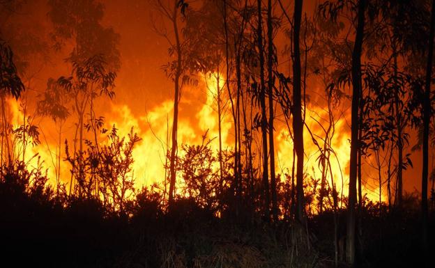 Los incendios quemaron en Cantabria más de 6.000 hectáreas en 16 días de febrero