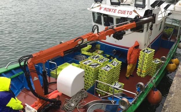 Los cerqueros cántabros finalizan su cupo de verdel en «cuatro días» de costera