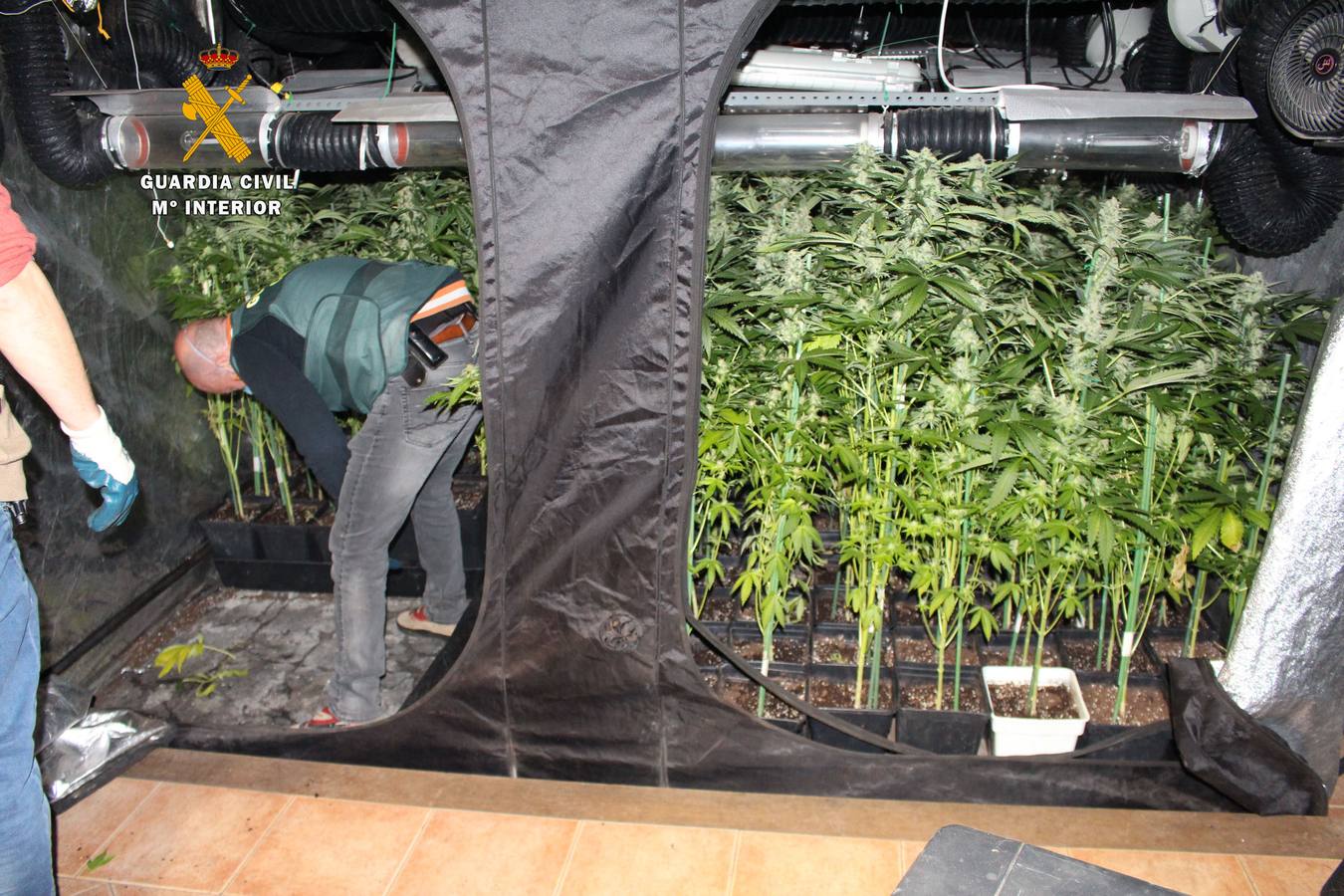 Imágenes de la operación 'Txungo' contra el tráfico de speed