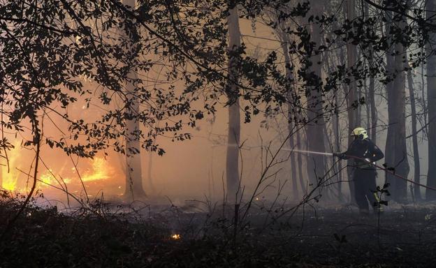 Extinguidos cuatro incendios forestales en Vega de Pas, Valdáliga y Soba