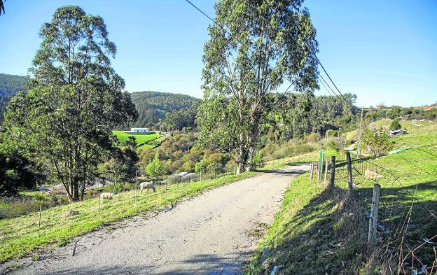 «La carretera del Pendo supondría un antes y un después para la cueva»