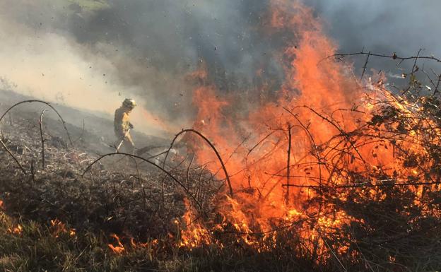 Cuatro de los 10 incendios provocados seguían activos ayer en Cantabria