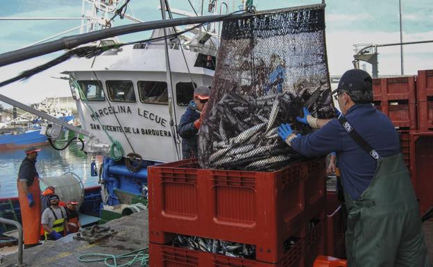 Cantabria cree que si se cambia el reparto de la cuota de verdel debe ser para todas las especies