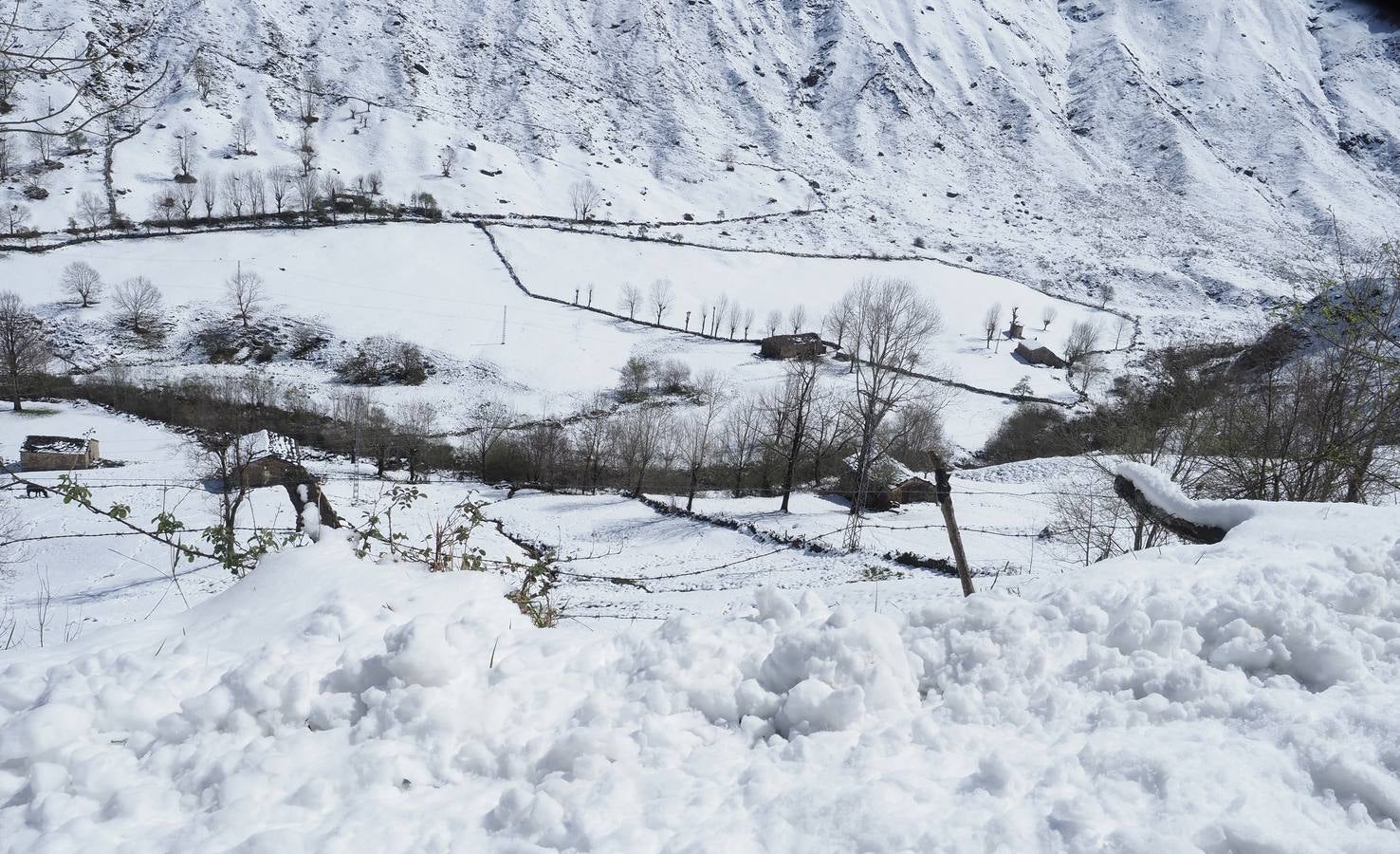 La nieve vuelve a las zonas altas de Cantabria