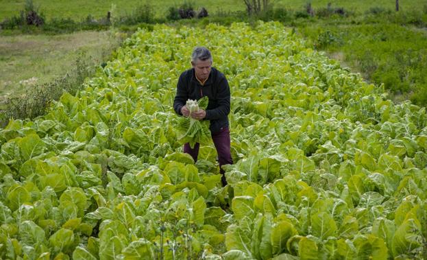 «El campo de Cantabria necesitaba el agua»