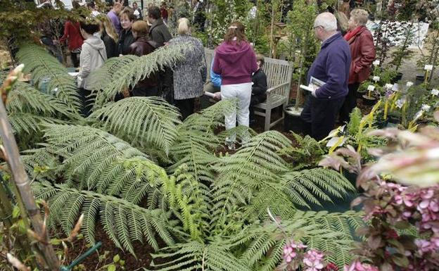 Una treintena de expositores participará en una nueva edición de la Feria de Árboles y Plantas