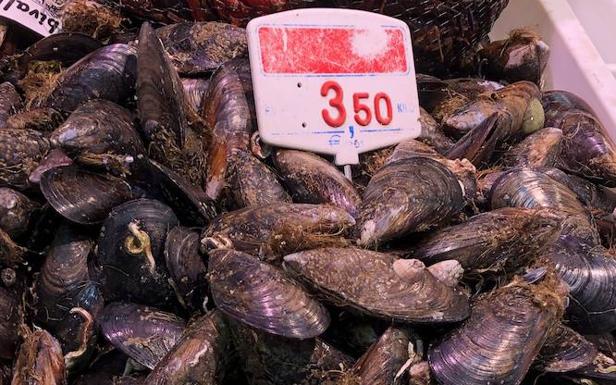 Hoy cocinamos mejillones con salsa marinera de tomate