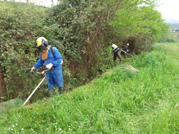 Confederación activa la limpieza de cauces en la comarca oriental